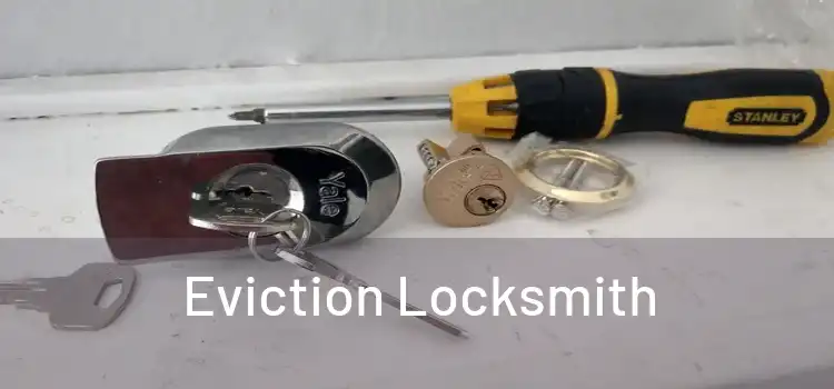  Eviction Locksmith 